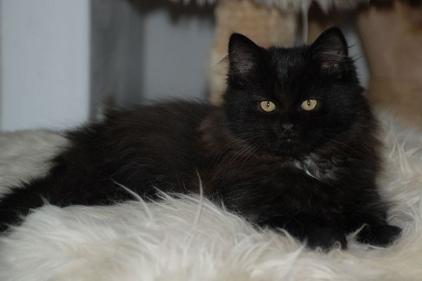 k-k-DSC_3604 (2).JPG